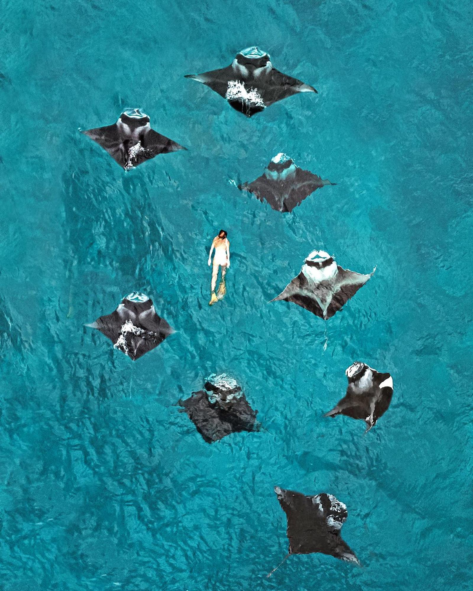 Hotel Fushifaru Maldives With 50 Percent Off On Sea Plane Roundtrip 04 Nights & Above Esterno foto